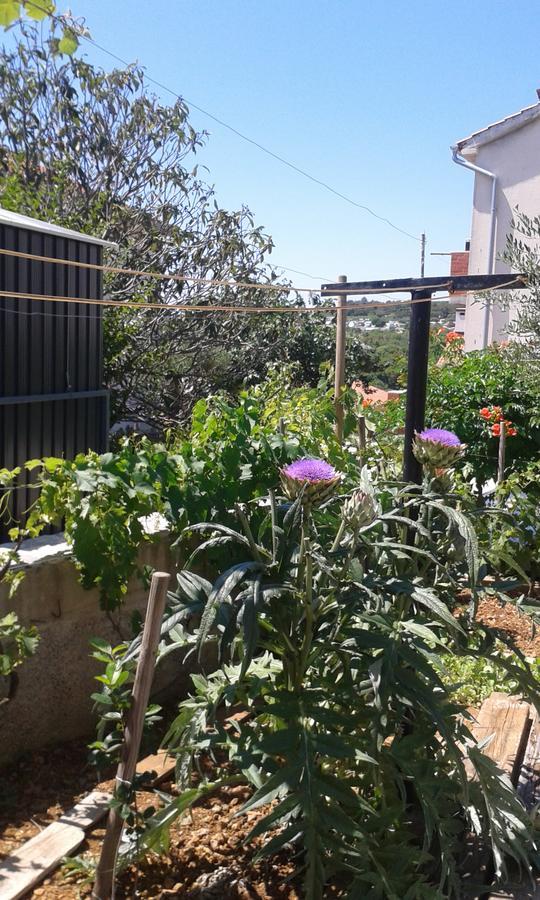 מלון קרק House Krk מראה חיצוני תמונה